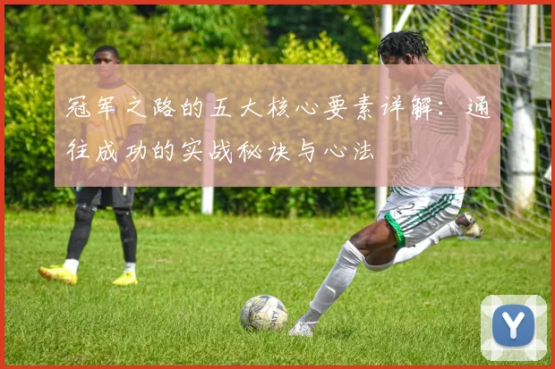 冠军之路的五大核心要素详解:通往成功的实战秘诀与心法